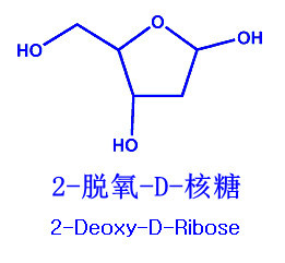 圖片13.png